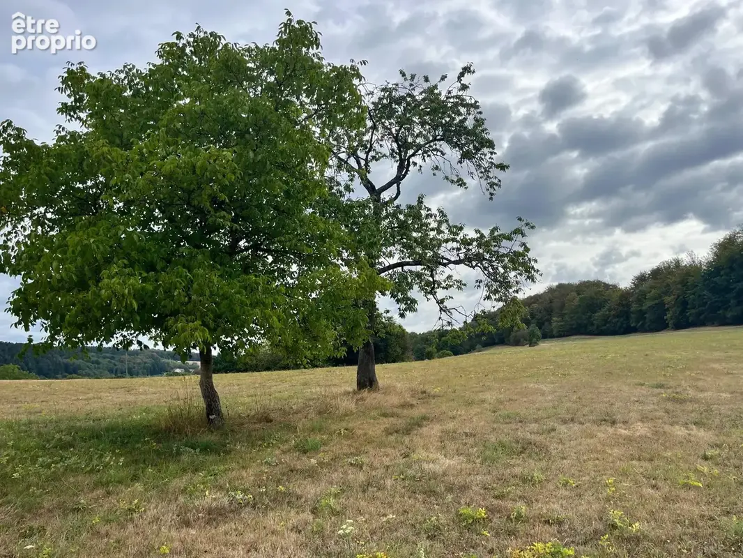 Photo 1 - Terrain à LE VAL-D'AJOL