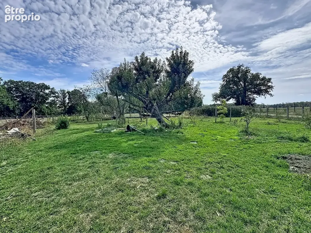 Longère de charme rénovée  124 m² habitables  5 746 m² de terrain  dépendances et hangar - photo 5