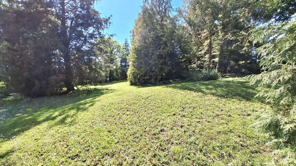 Maison à VARANGEVILLE