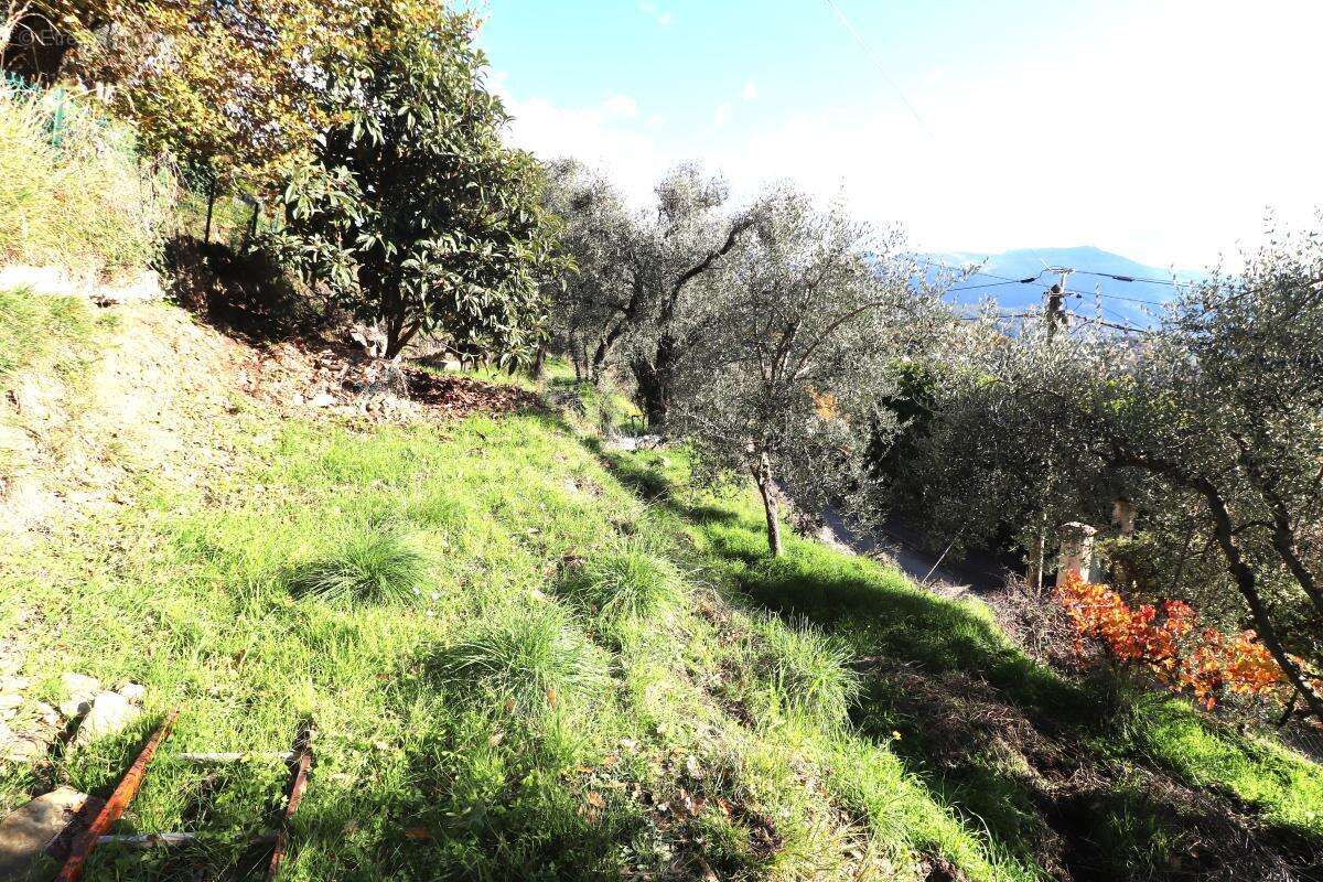 Maison à BERRE-LES-ALPES