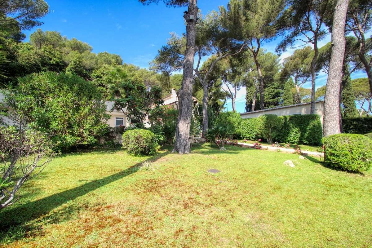 Saint jean cap ferrat "le cap" - propriété 600m²  terrain 5000m² piscine - photo 11