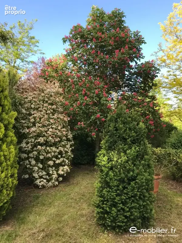 Maison 8 pièces 184 m² à vendre à Charlieu (42190) - photo 4