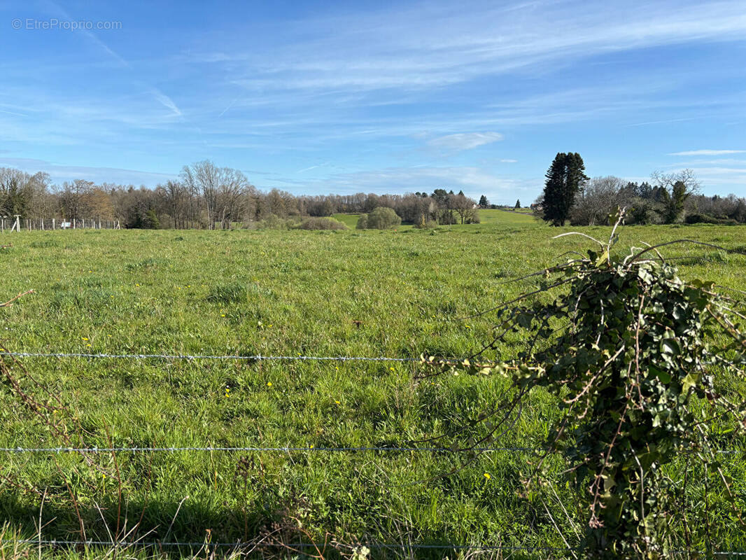 Terrain à SAINT-YRIEIX-LA-PERCHE
