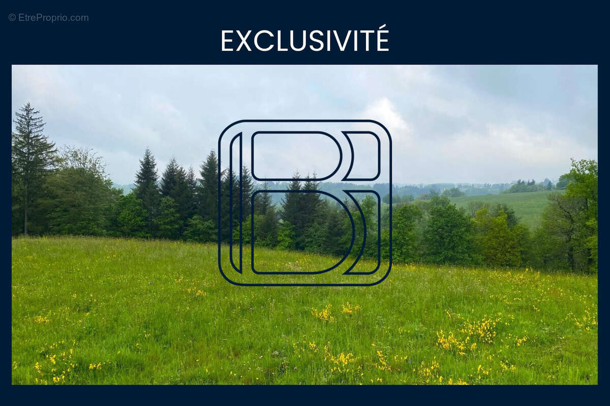 Terrain à VERTOLAYE