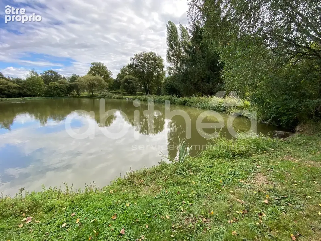 Terrain de loisirs avec 2 etangs - photo 16