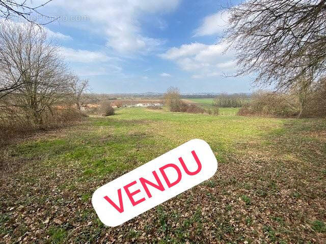 Terrain à VINZELLES