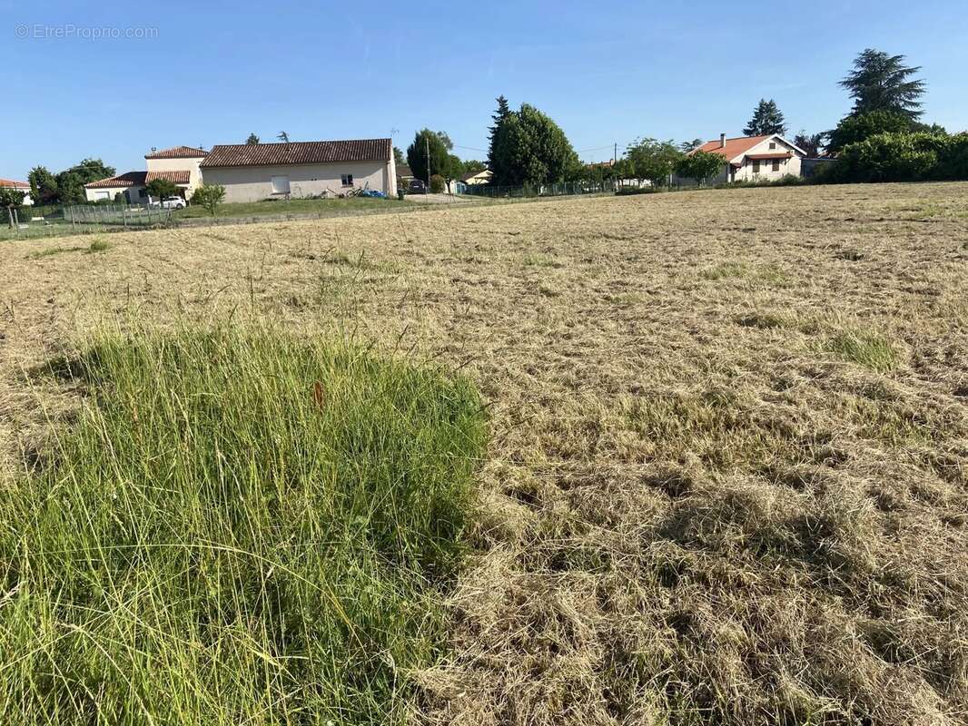 Terrain à GAILLAC
