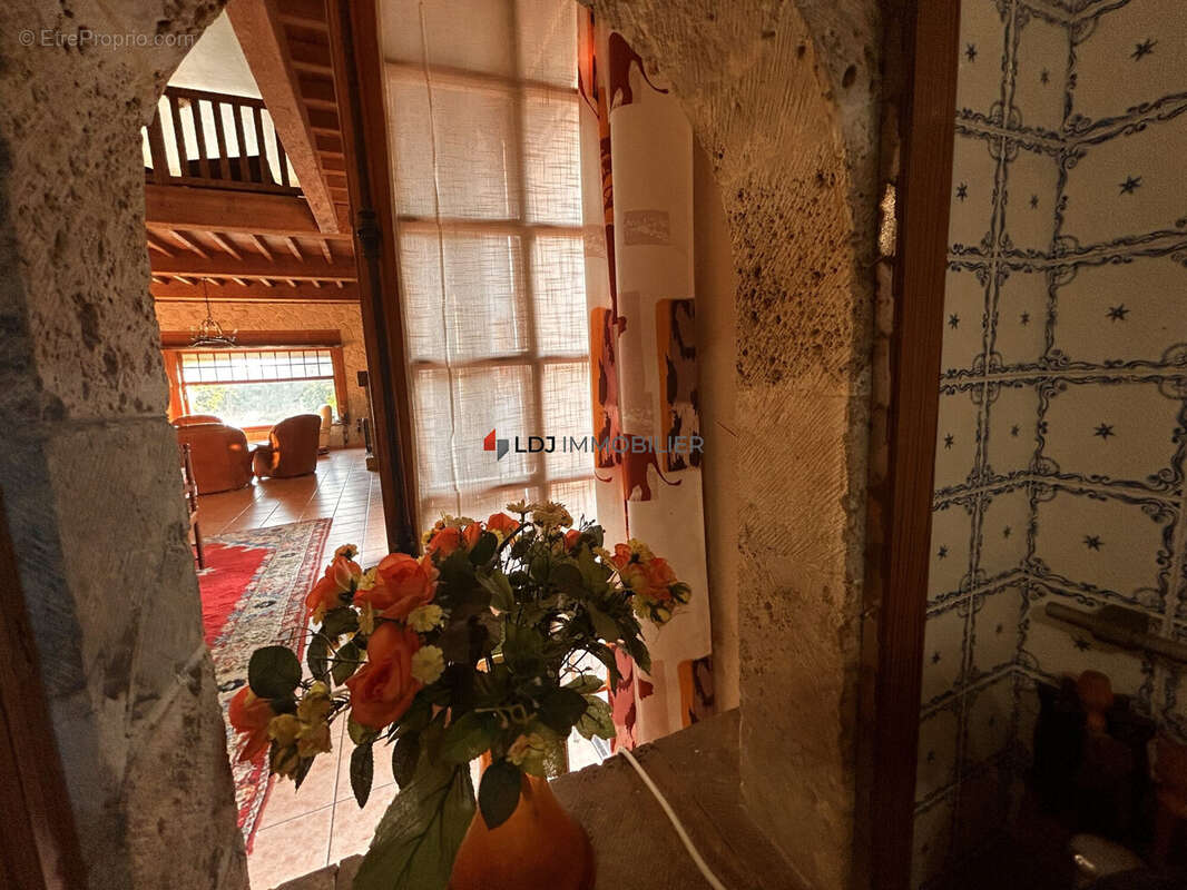 Autre à ARGELES-SUR-MER