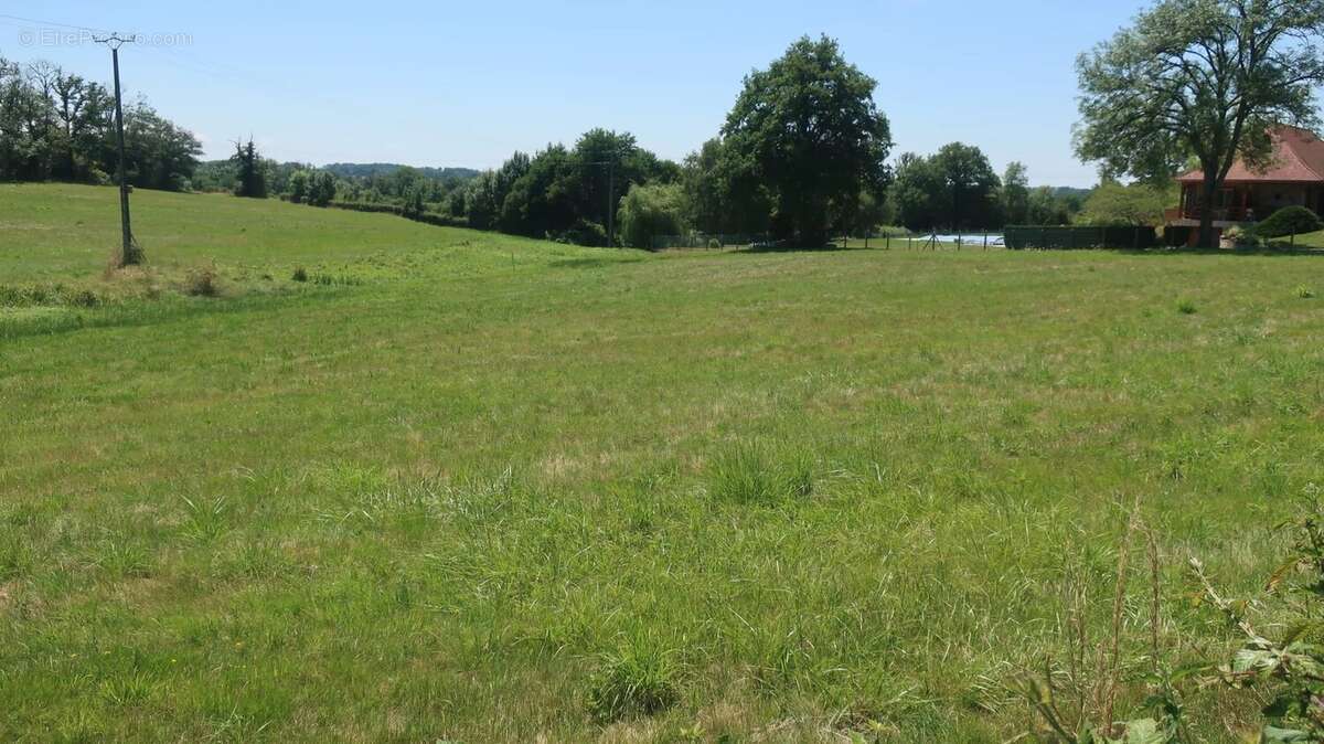Terrain à SAINT-SULPICE-LES-FEUILLES