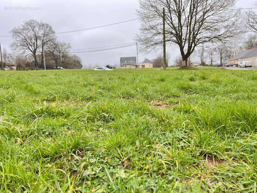 Terrain à CONQUEREUIL