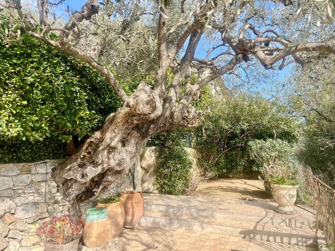 Maison à TOULON
