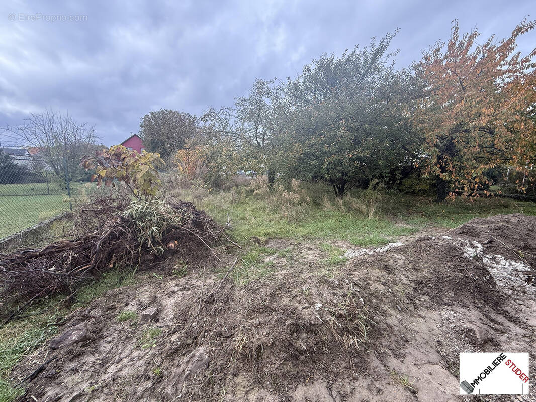 Terrain à ILLKIRCH-GRAFFENSTADEN