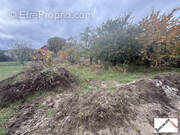 Terrain à ILLKIRCH-GRAFFENSTADEN