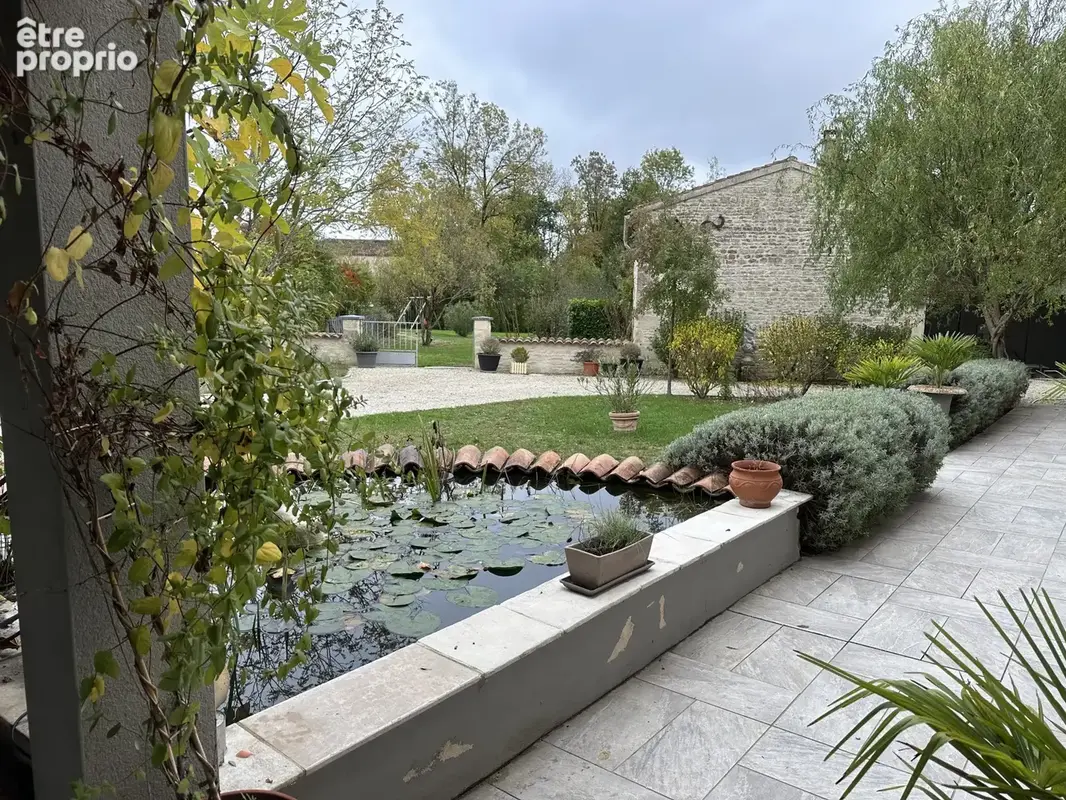 Mons, 13km de Cognac, demeure de charme avec 2 gîtes et piscine. - photo 3
