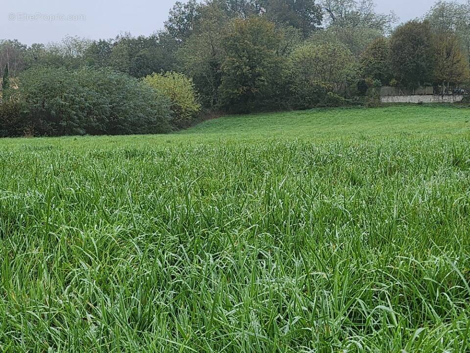 Terrain à BOURG-SAINT-CHRISTOPHE