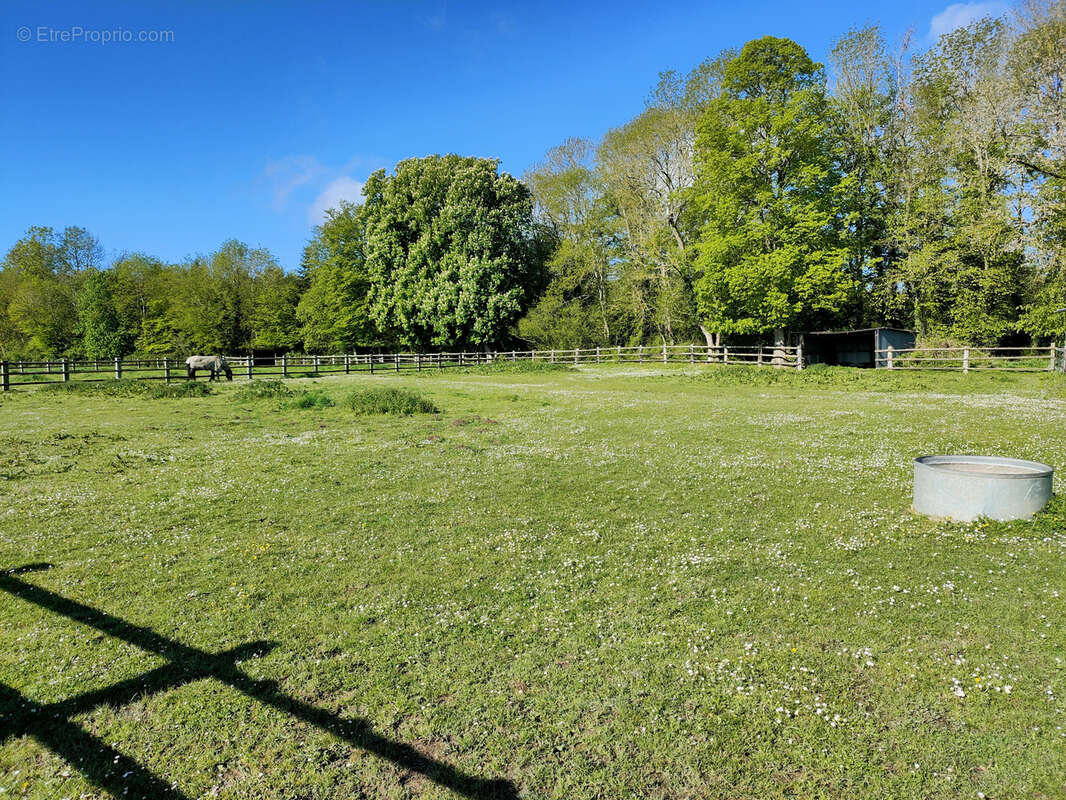 Propriété équestre avec 13 hectares - photo 38