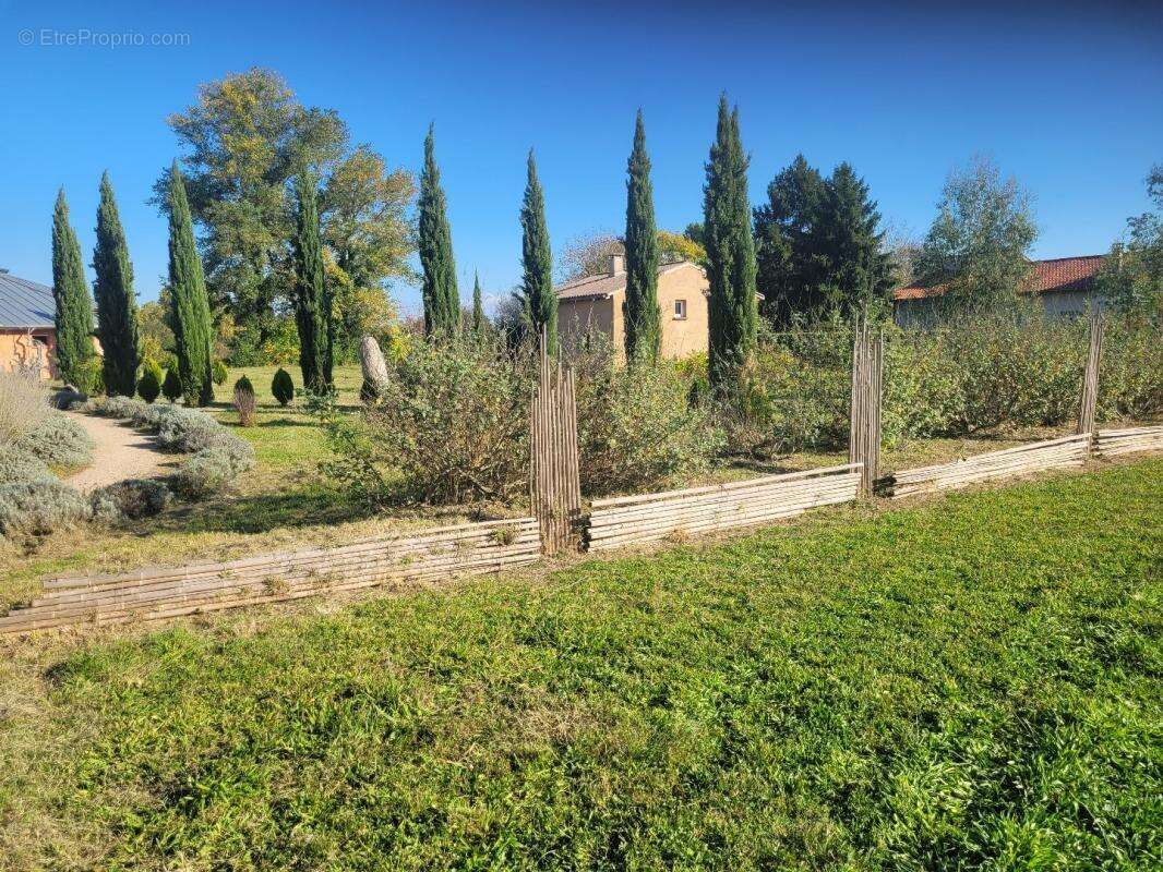 Commerce à CASTELNAU-DE-LEVIS