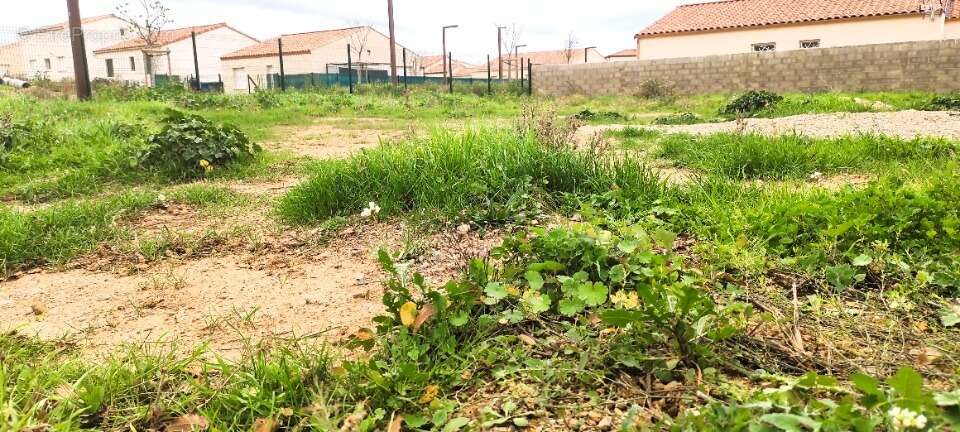 Terrain à POUZOLLES