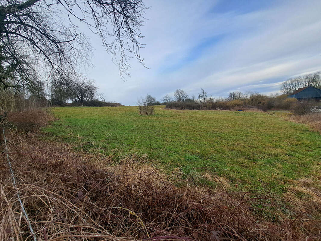 Terrain à NOVION-PORCIEN