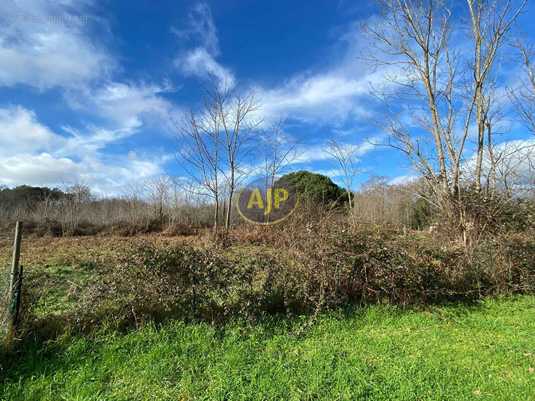 Maison à VENDAYS-MONTALIVET
