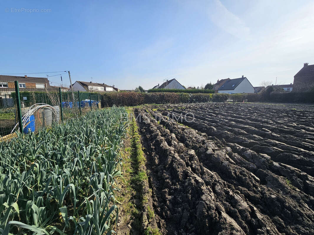 Terrain 395 m² à Leforest  - photo 2