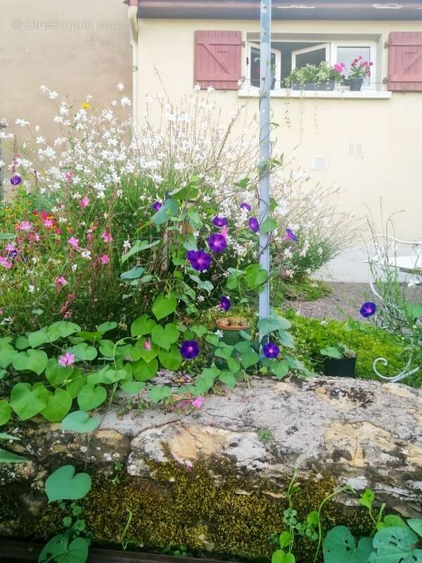 Charolles, pour investisseur, maison mitoyenne de ville, vendue avec loctaire en place - photo 18
