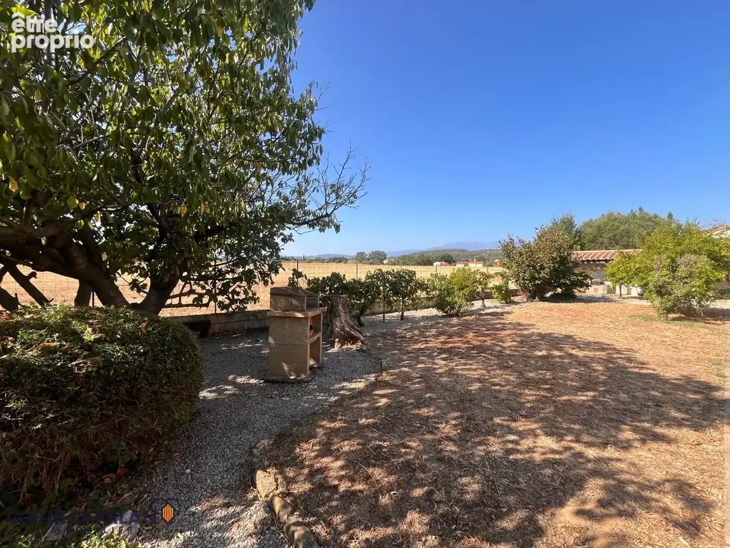 À vendre - thuir - villa plain-pied 600m2 de terrain vue canigou - photo 3