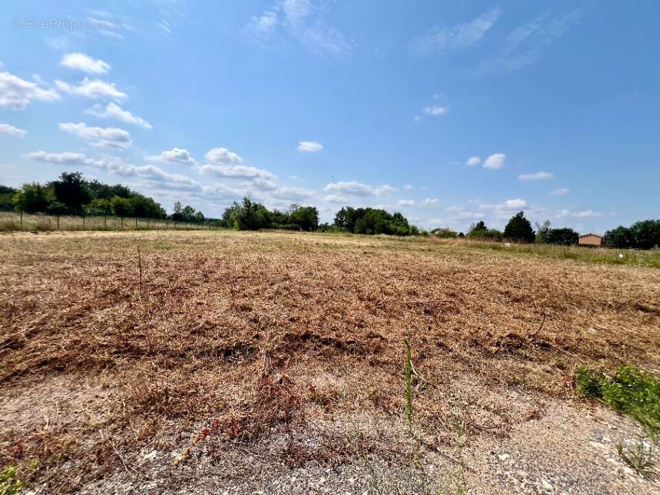 Terrain à REPLONGES