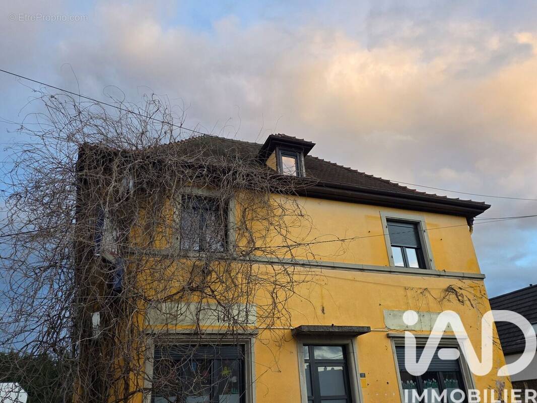 Photo 1 - Appartement à ESCHAU