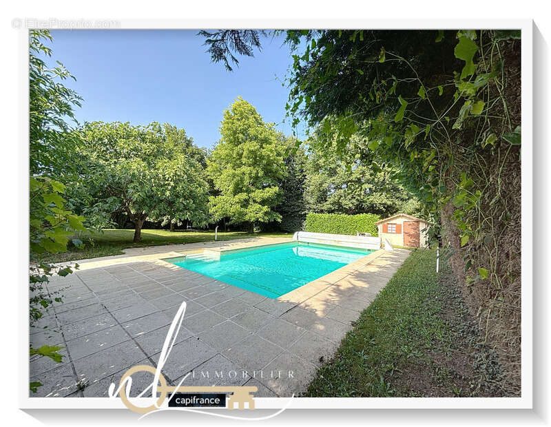 Terrain à MESSIMY-SUR-SAONE