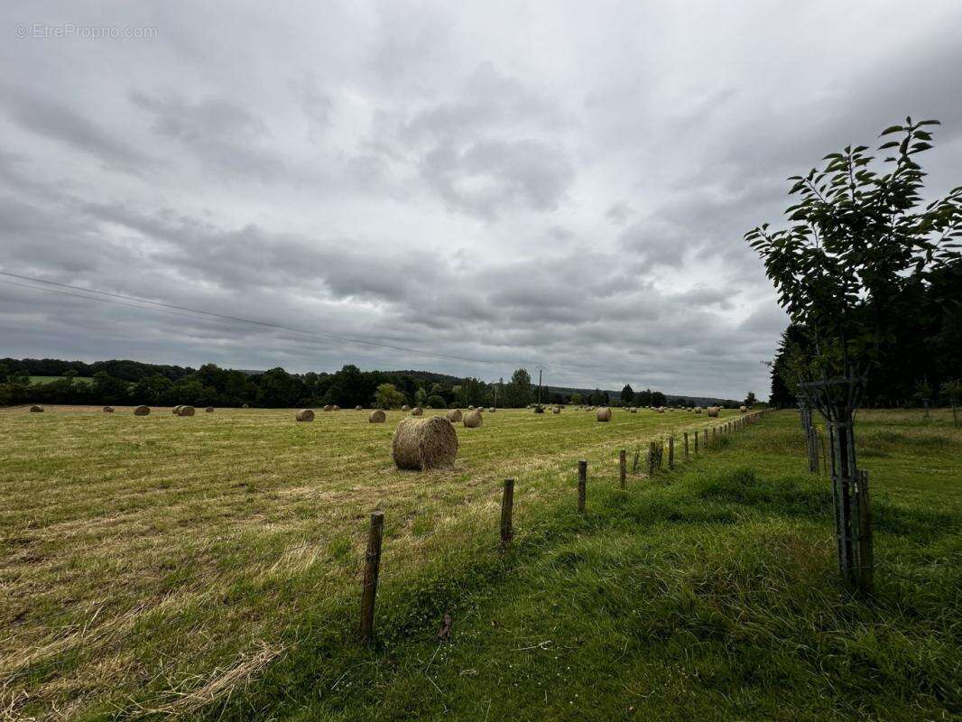 Terrain à SAINT-CYR-LA-ROSIERE