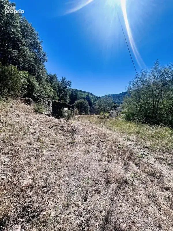 En Cévennes, Maison rénovée, à vendre - photo 15