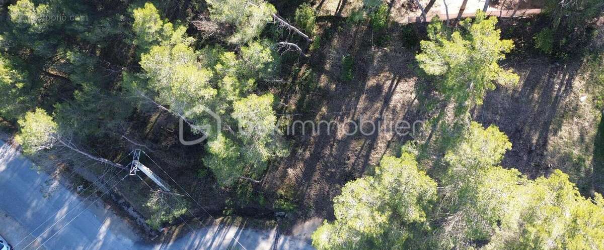 Terrain à LA ROQUE-D'ANTHERON