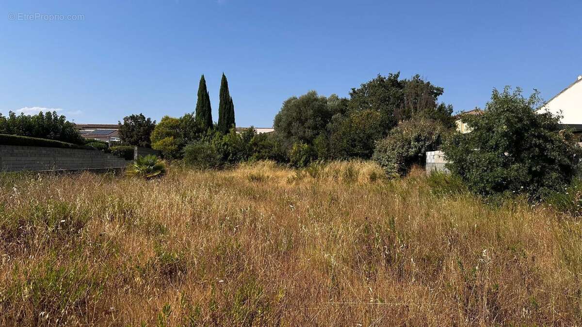Terrain 616 m² à Trebes  - photo 4
