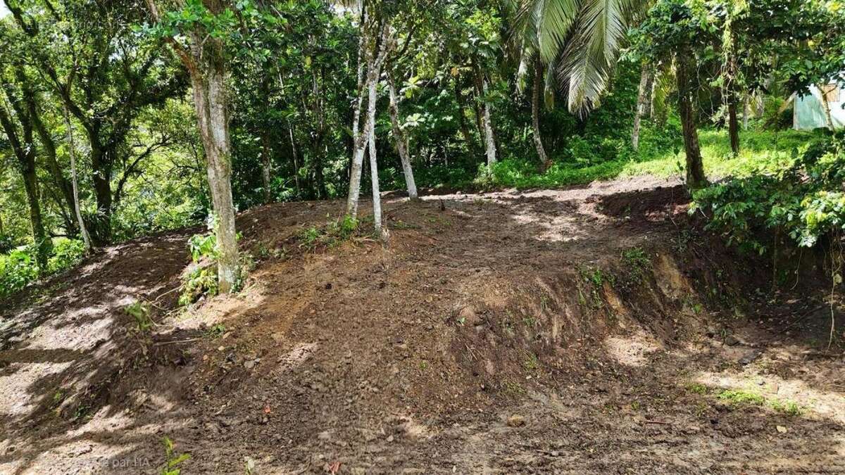 Photo 4 - Terrain à FORT-DE-FRANCE