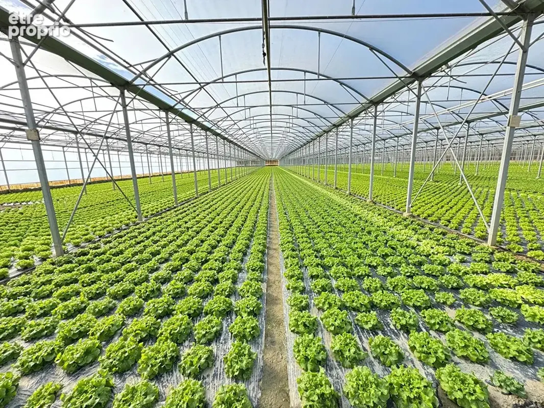 Domaine agricole Bompas et Villelongue de la Salanque 31000 m2 - photo 1