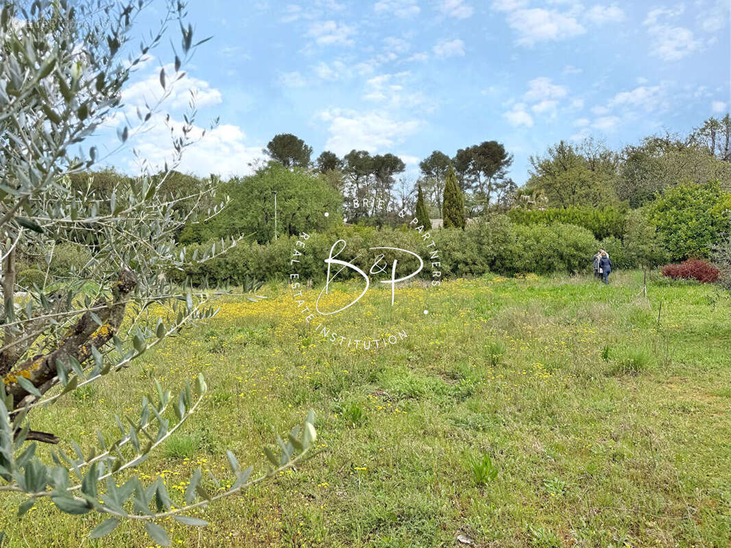 Terrain à SAINT-ANTONIN-DU-VAR