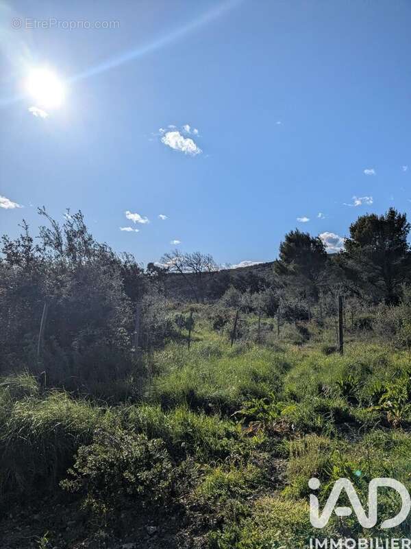 Photo 4 - Terrain à CASTILLON-DU-GARD