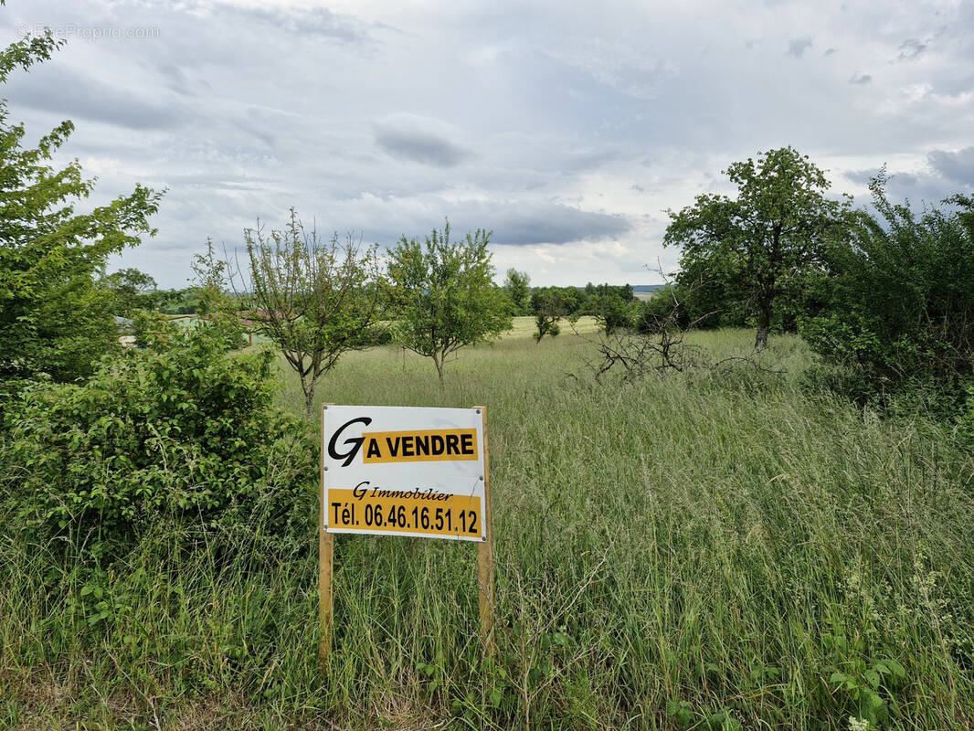 Terrain à VANNECOURT