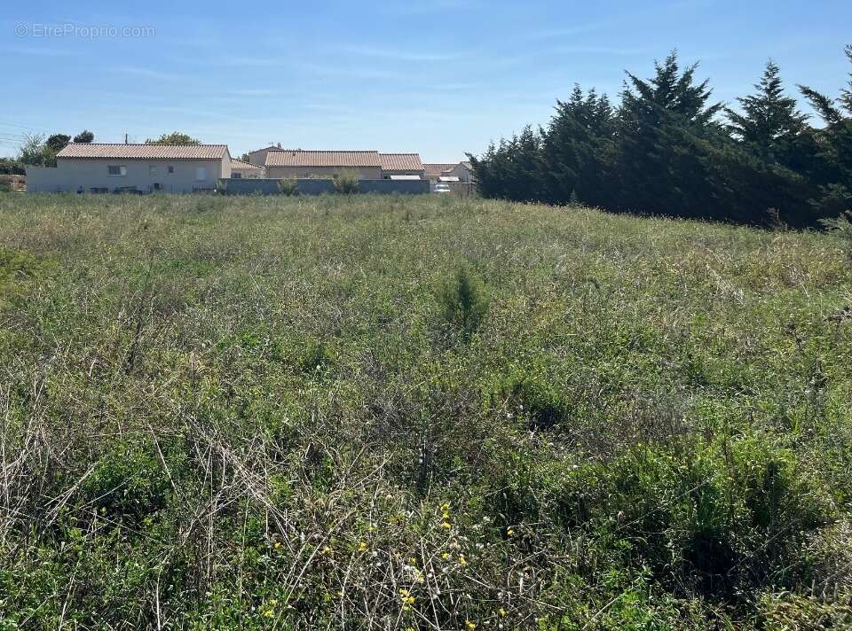 Terrain à PIERRELATTE