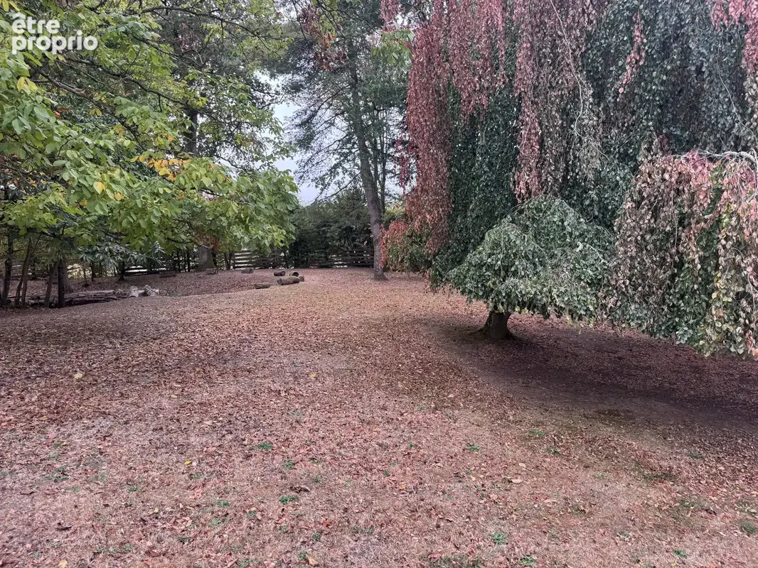 Maison contemporaine avec piscine dans un écrin de verdure - photo 4
