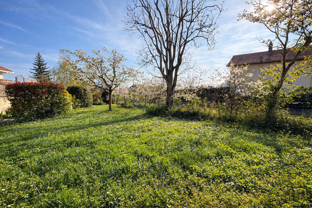 Maison à PONT-DU-CHATEAU