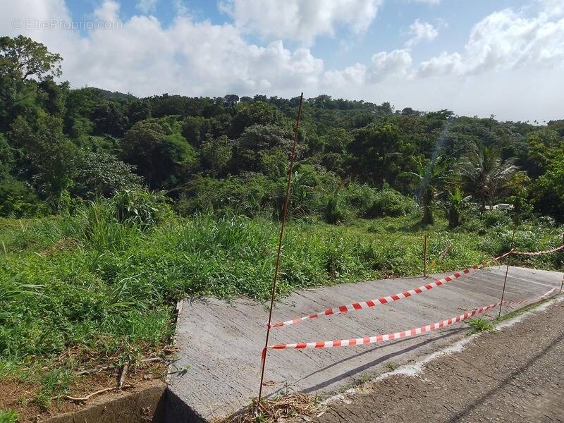 Terrain à SAINT-CLAUDE