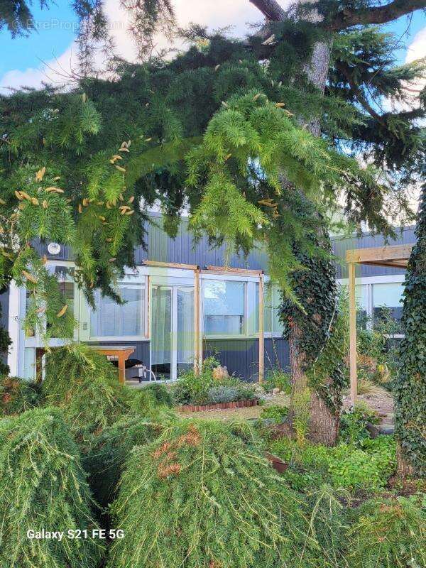 Maison à SAINT-CYR-EN-VAL