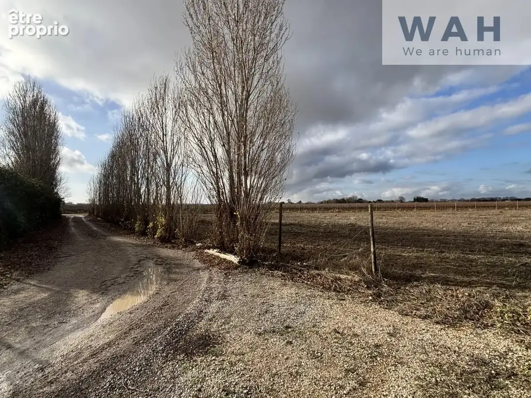 Ensemble immobilier en petite Camargue - villa plain-pied av - photo 19