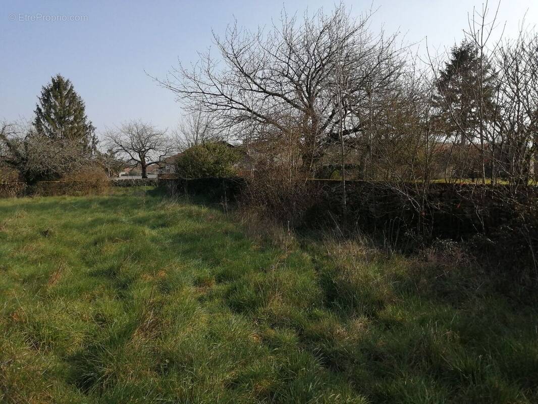 Terrain à MOUGON