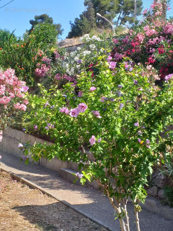 Maison à MARSEILLE-15E