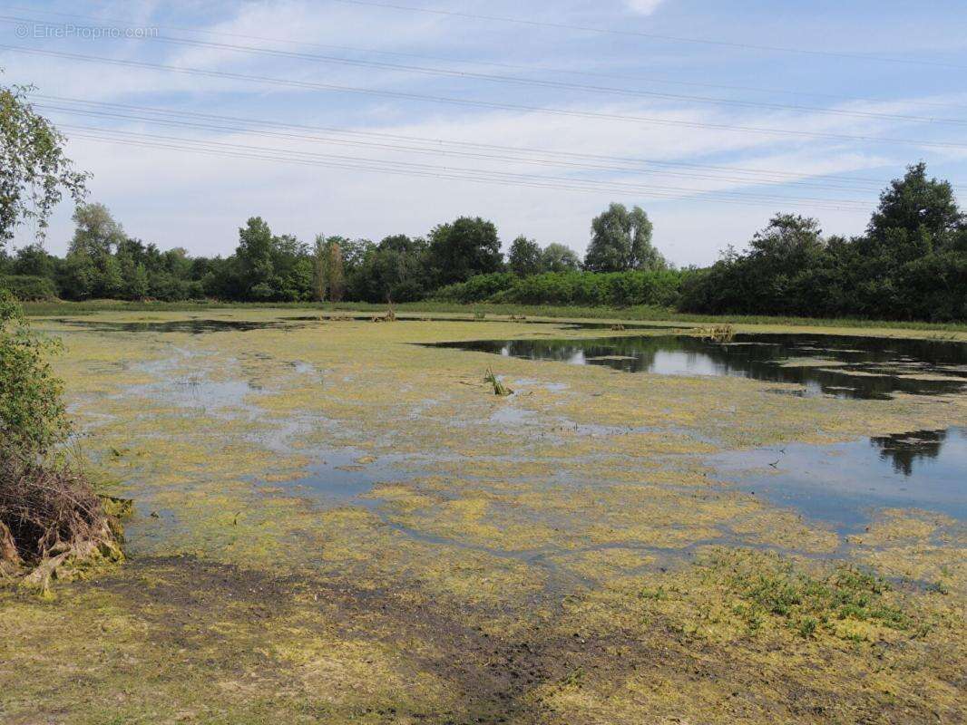 Propriété de chasse Myennes 8 pièce(s) 254 m2 - photo 8