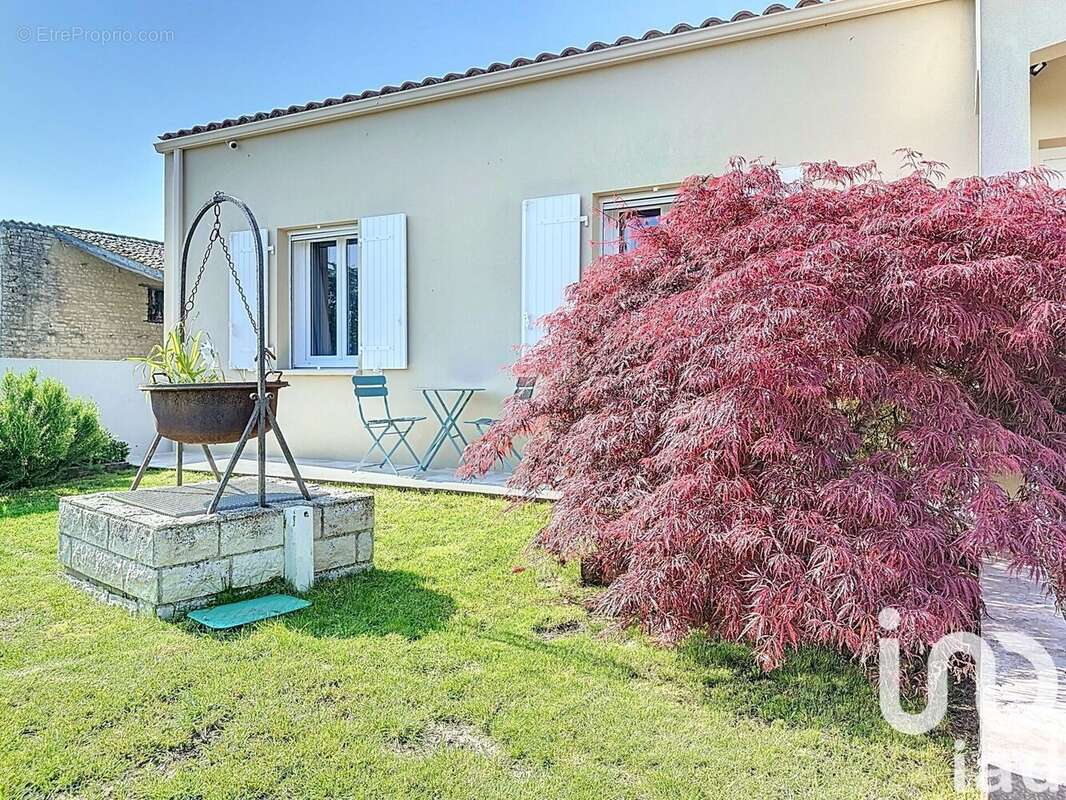 Photo 4 - Maison à NUAILLE-D'AUNIS
