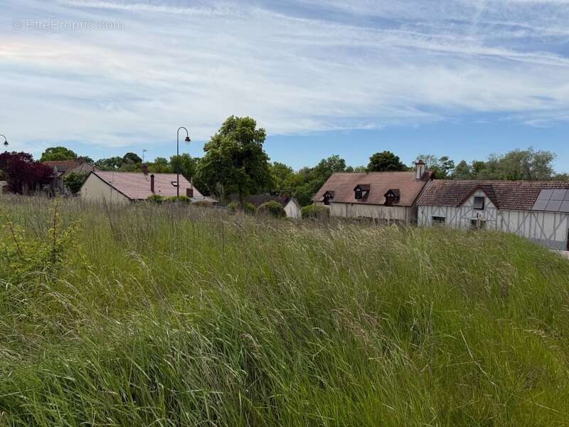 Terrain à ARCEAU